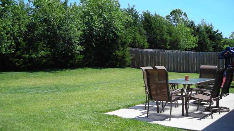 view of backyard